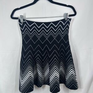 Max Studio Black and White Mini Fit and Flare Skirt cozy minimalist quiet luxury